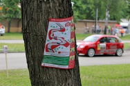 Rallye Český Krumlov: Shakedown